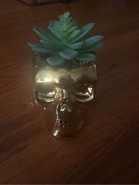 Gold Ceramic Skull Planter with Green faux Succulent